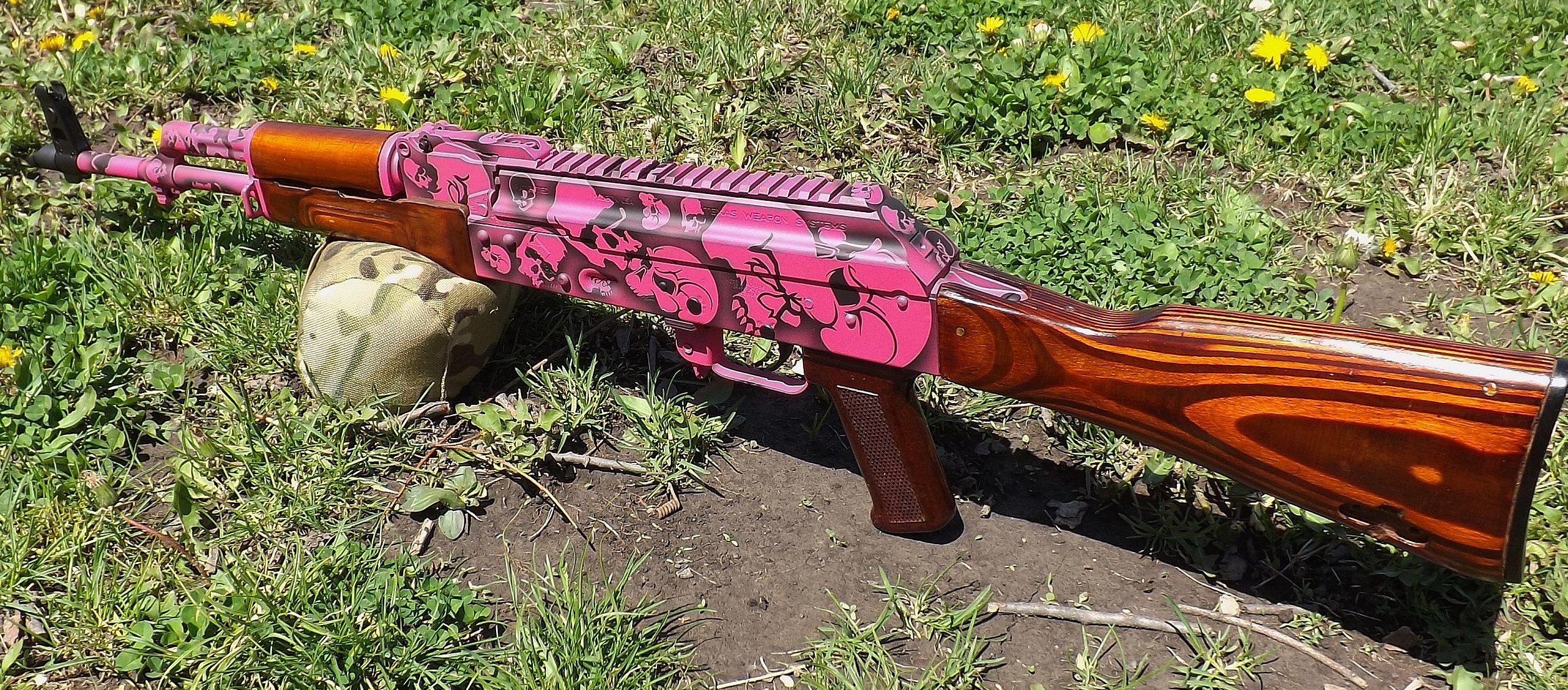 Pinkblackak005.JPG