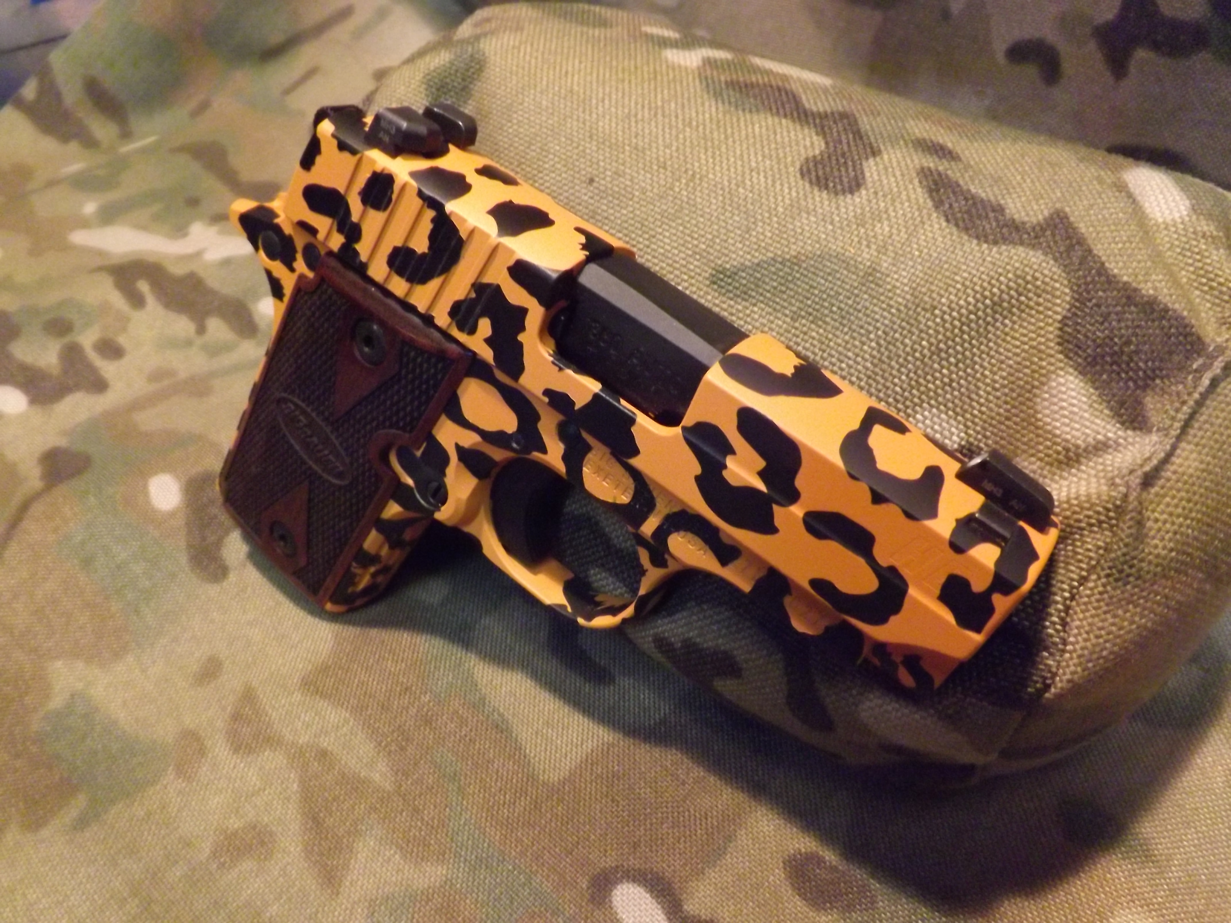 SIG238Cheeta012.JPG