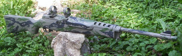 mini14advtiger2.jpg