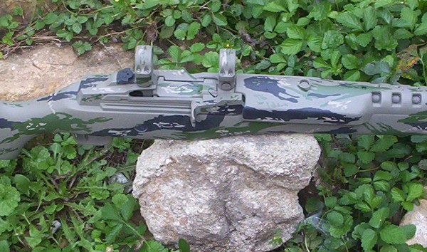 mini14advtiger3.jpg