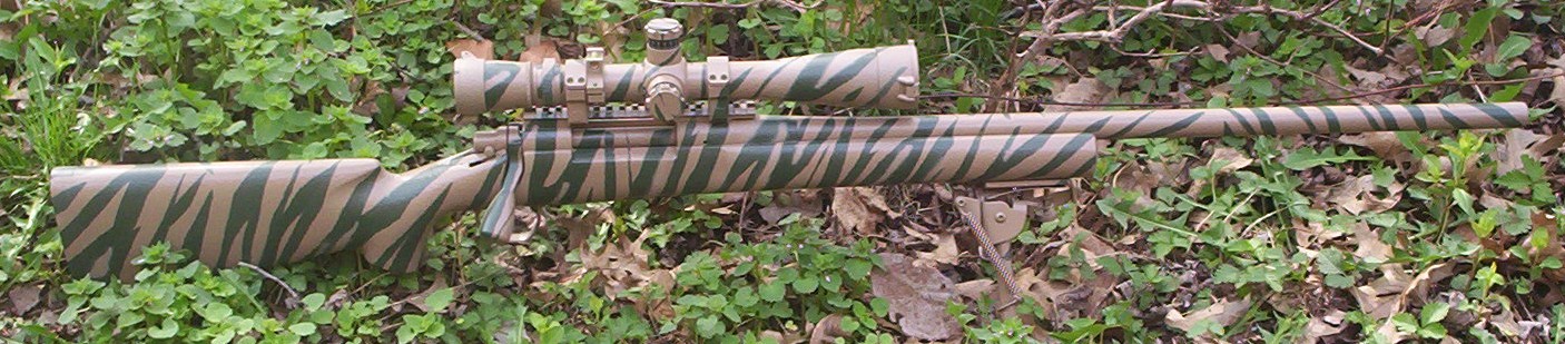 sideamstripe700.jpg