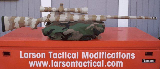 verticaldesert2.jpg